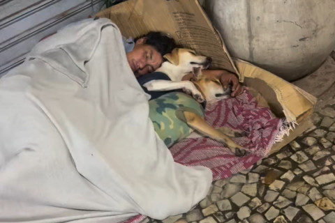 Em meio ao frio da noite, morador de rua dorme abraçado a dois cães e emociona a internet