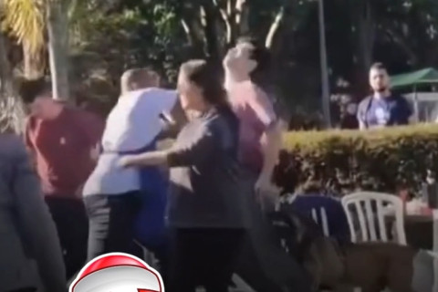 Cachorro sem focinheira provoca confusão em parque após ataque a outro cachorro