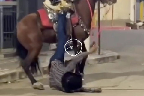 Quando eu resolvo mostrar quem manda e a vida discorda. 😂😂🤦🏻