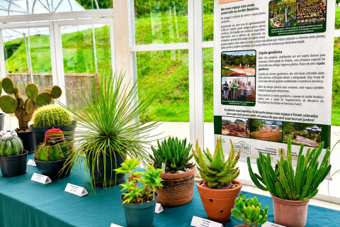 Escolas Rurais de Nova Russas promovem 1ª Exposição de Plantas Nativas nesta terça-feira