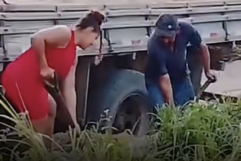 "Enquanto muitos desistem na dificuldade, ela pegou a pá e foi trabalhar ao lado do marido. O vídeo está dividindo opiniões."