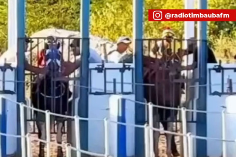 Quem venceu de verdade? Corrida de cavalos termina em polêmica e divide opiniões em Tamboril