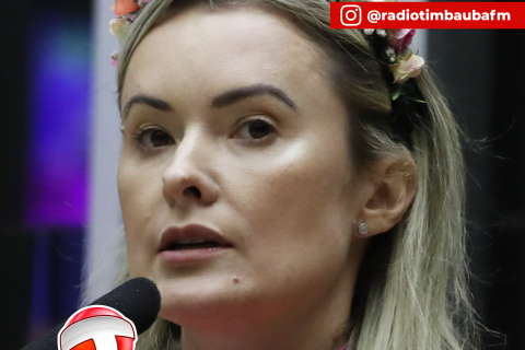 Lei Maria da Penha: projeto gera polêmica ao prever punição para denúncias falsas